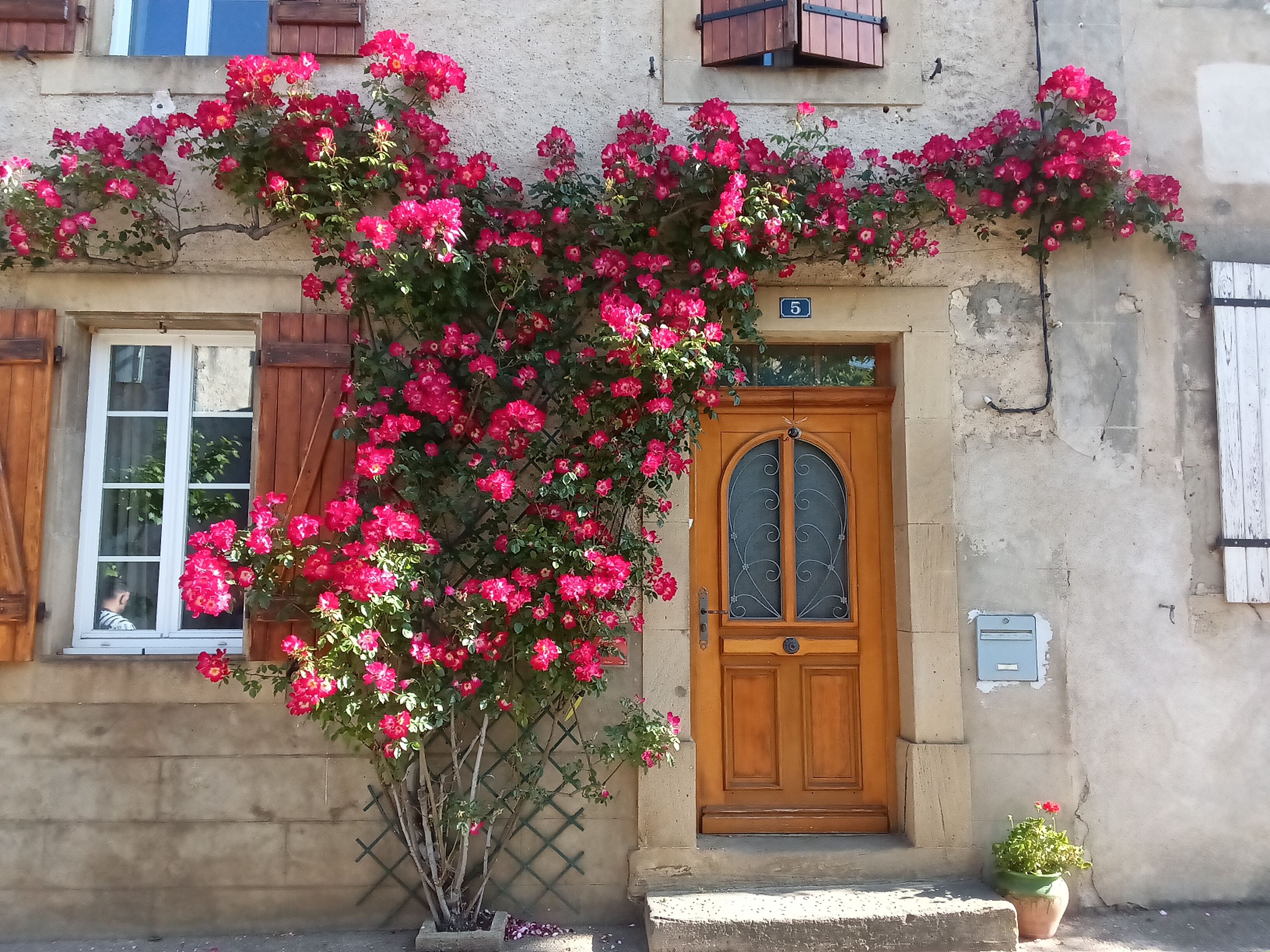 Sortie culturelle à Mirepoix